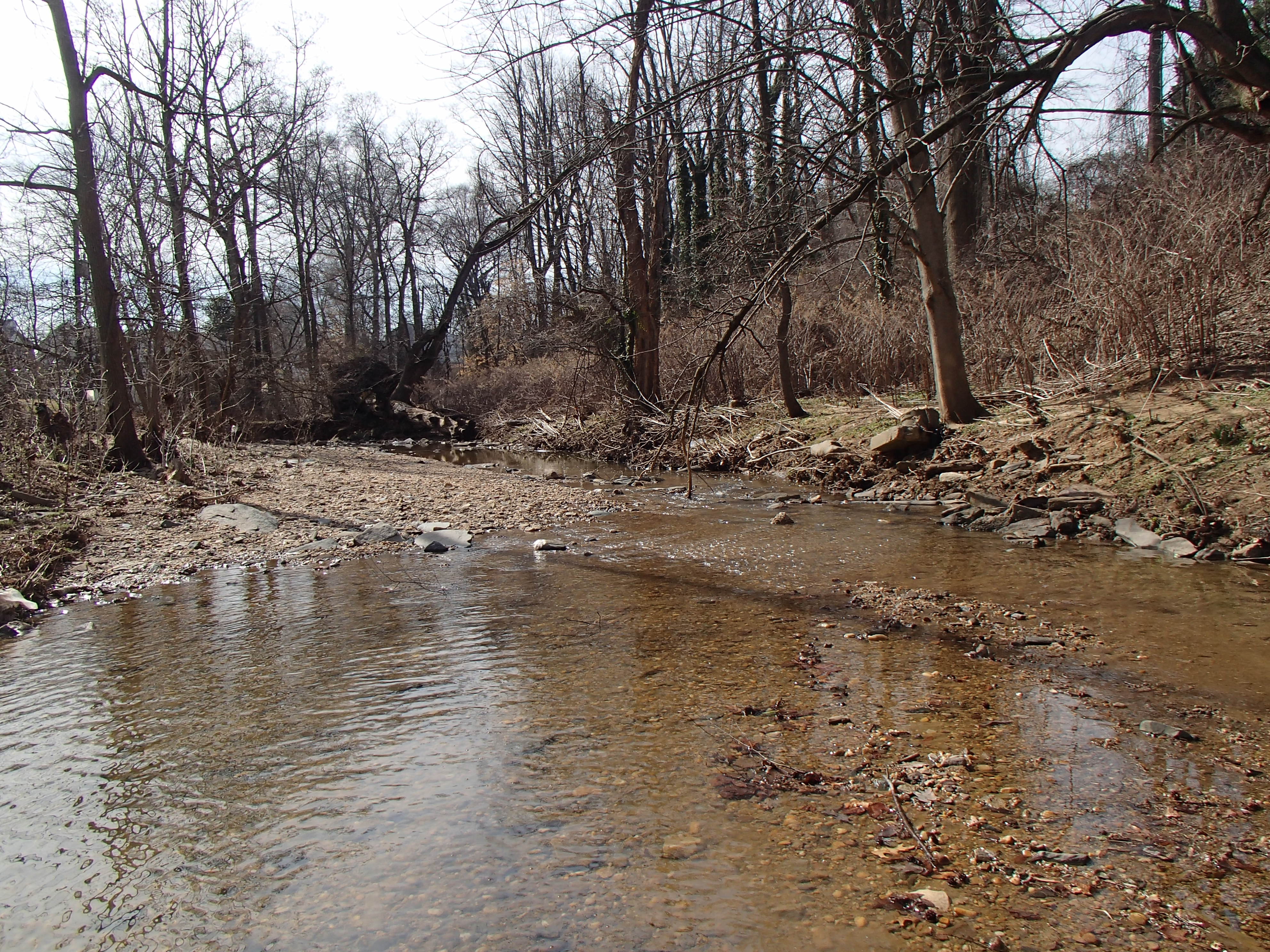 Field photo showing stream conditions at site BACK-105-R-2016_midpoint downstream